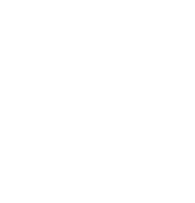 ornament-3